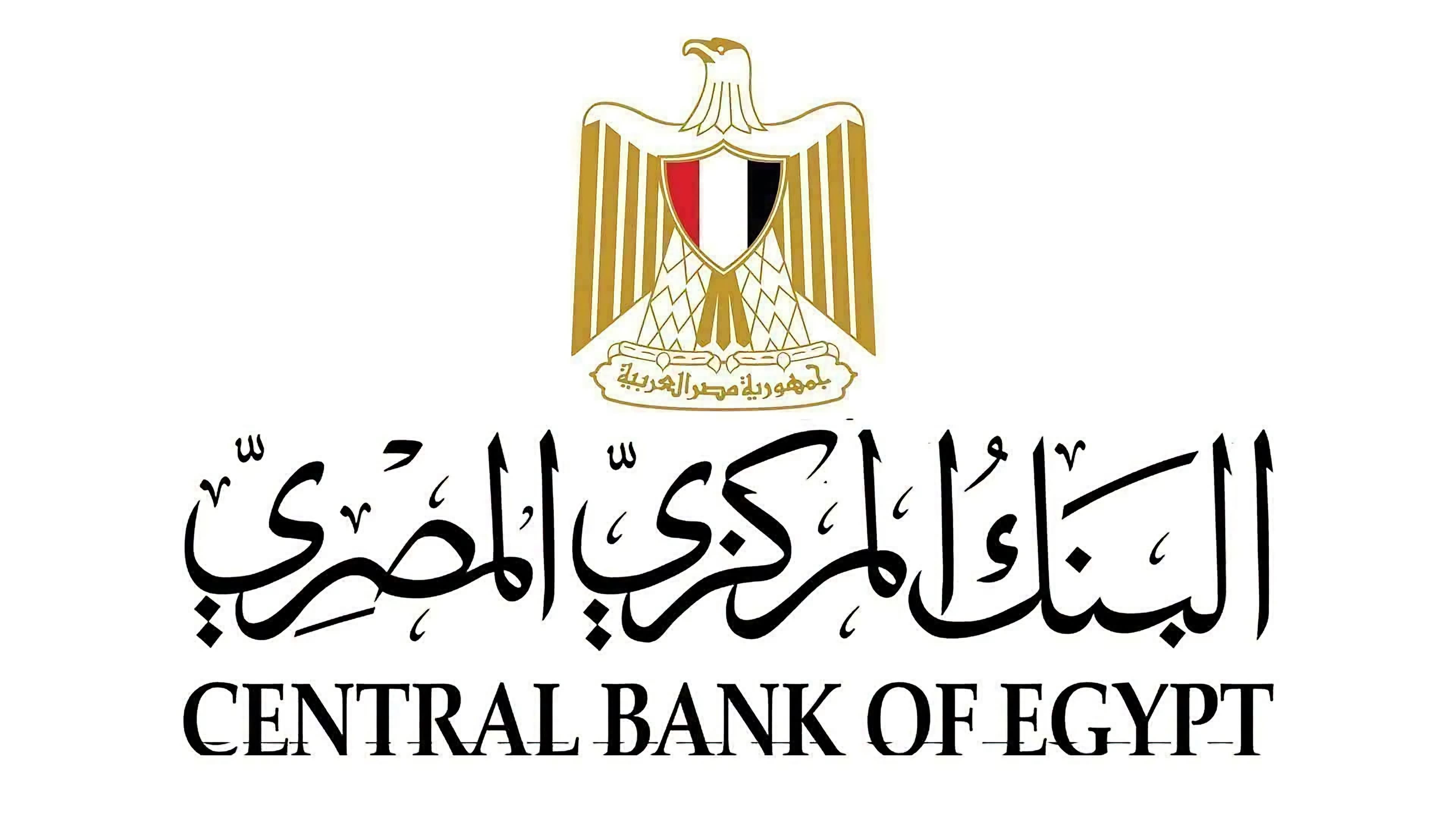 البنك المركزي يطلق البوابة الإلكترونية للجنة الاستقرار المالي الإفريقية