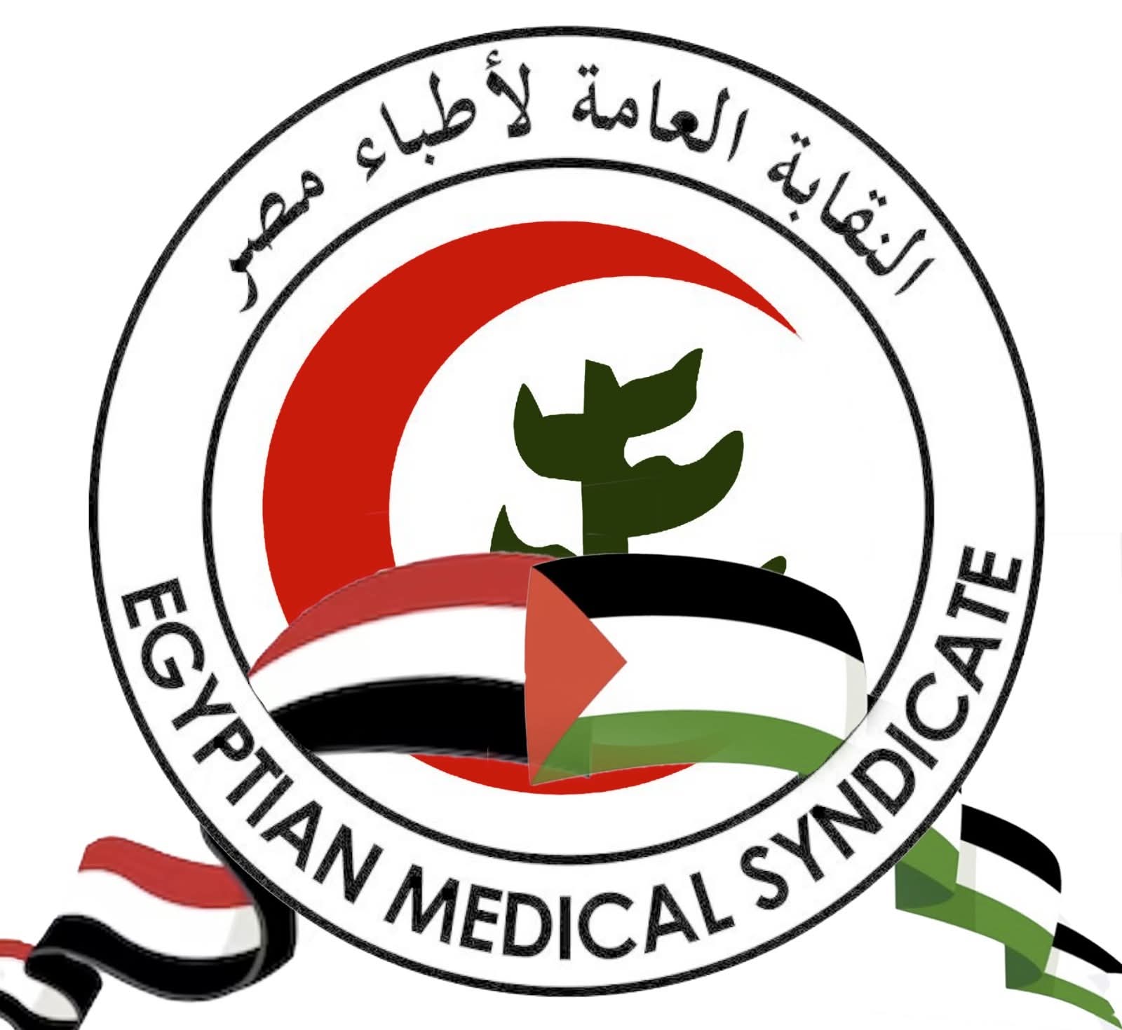 زعمت أن حليب الماعز يغني عن حليب الأم:                                                                      نقابة الأطباء تتحرك لمنع أسترالية من تقديم دورة في الجونة وتحذر.. معلومات صحية مضللة