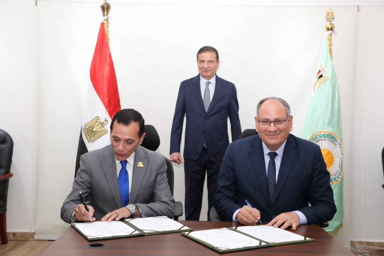الزراعة تتوسع في إنتاج هجن الطماطم محليًا بمنطقة المغرة