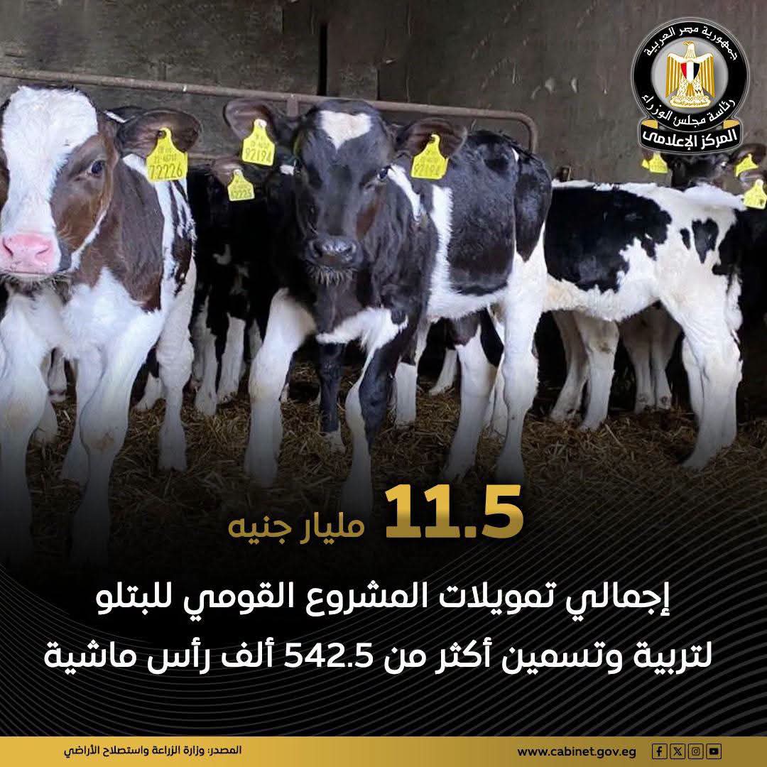 282 مليون جنيه تمويلات جديدة لـ«المشروع القومي للبتلو»