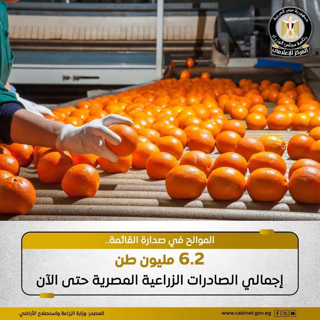 من الموالح إلى الرمان.. أبرز المحاصيل الزراعية المصرية المصدرة إلى الأسواق العالمية