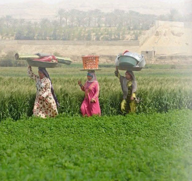 10 مجمعات صناعية و5 جامعات تكنولوجية لدعم الاستثمار في صعيد مصر