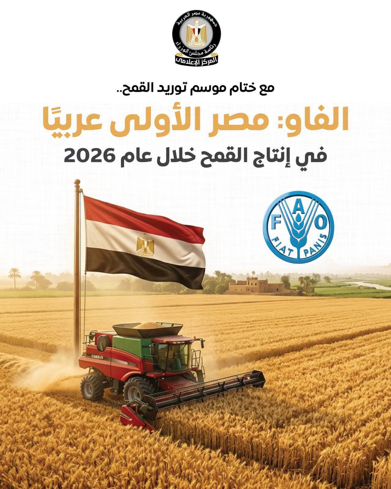 مصر الأولى عربيًا في إنتاج القمح خلال 2026 بـ10.2 ملايين طن وفقًا لتقديرات «الفاو»