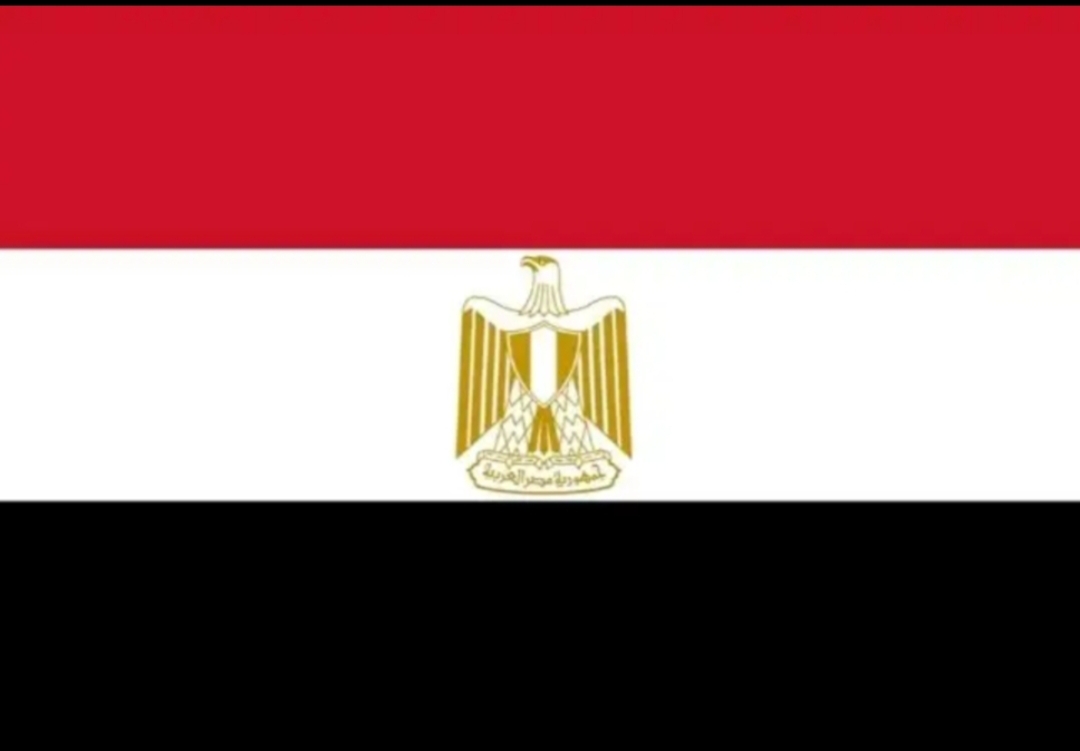 مصر تدين اقتحام الاحتلال الإسرائيلي مركز قلنديا التابع للأونروا