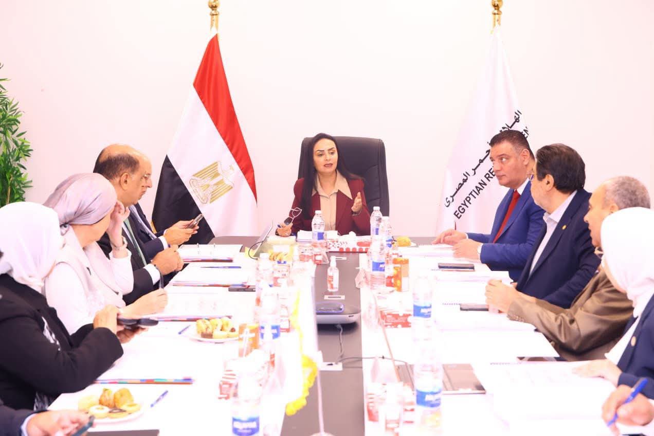 الهلال الأحمر المصري: 1.019 مليون طن مساعدات وصلت إلى غزة منذ بدء الأزمة