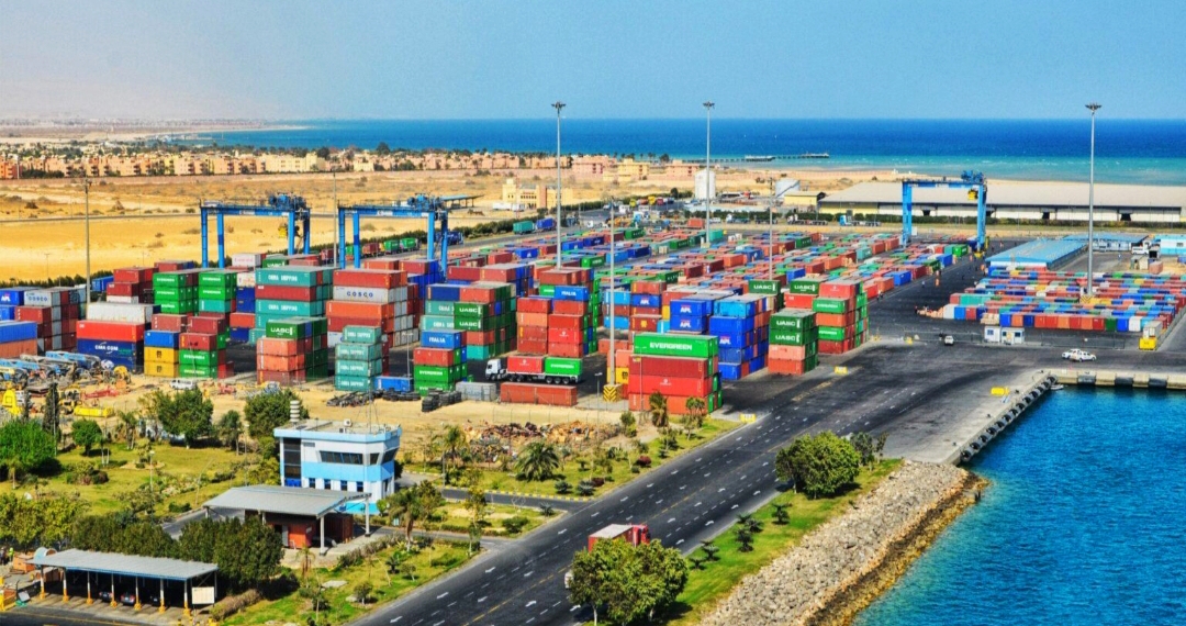 استثمارات صينية بـ67 مليون دولار لإنشاء مجمع للمنتجات الصحية بالسخنة