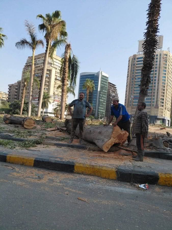 نادر نور الدين: خطأ دمج «البيئة» مع «التنمية المحلية.. لكل وزارة همومها وأولوياتها