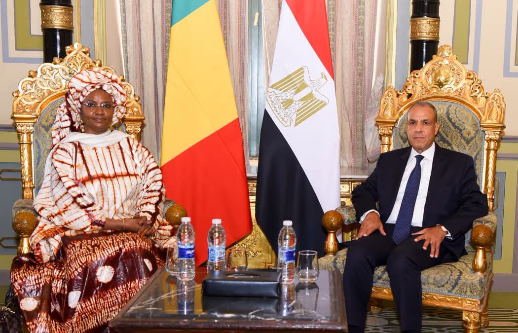 مصر ومالي تبحثان تعزيز التعاون في ريادة الأعمال والتدريب والتوظيف