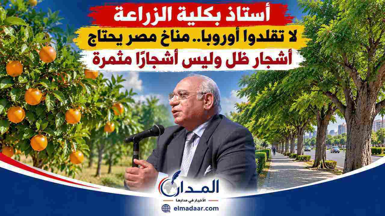 أستاذ بكلية الزراعة: لا تقلدوا أوروبا.. مناخ مصر يحتاج أشجار ظل وليس أشجارًا مثمرة