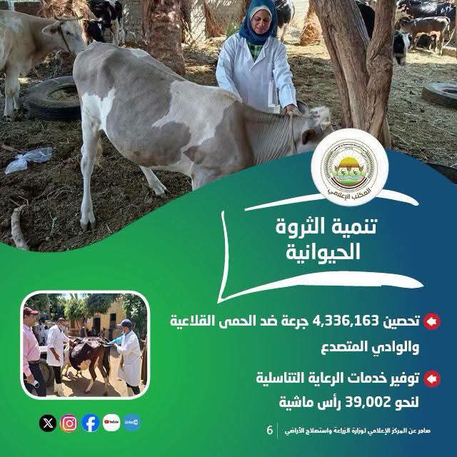 حصاد الزراعة في أسبوع.. تحصين 4.3 مليون رأس وتكثيف الرقابة على سوق المبيدات