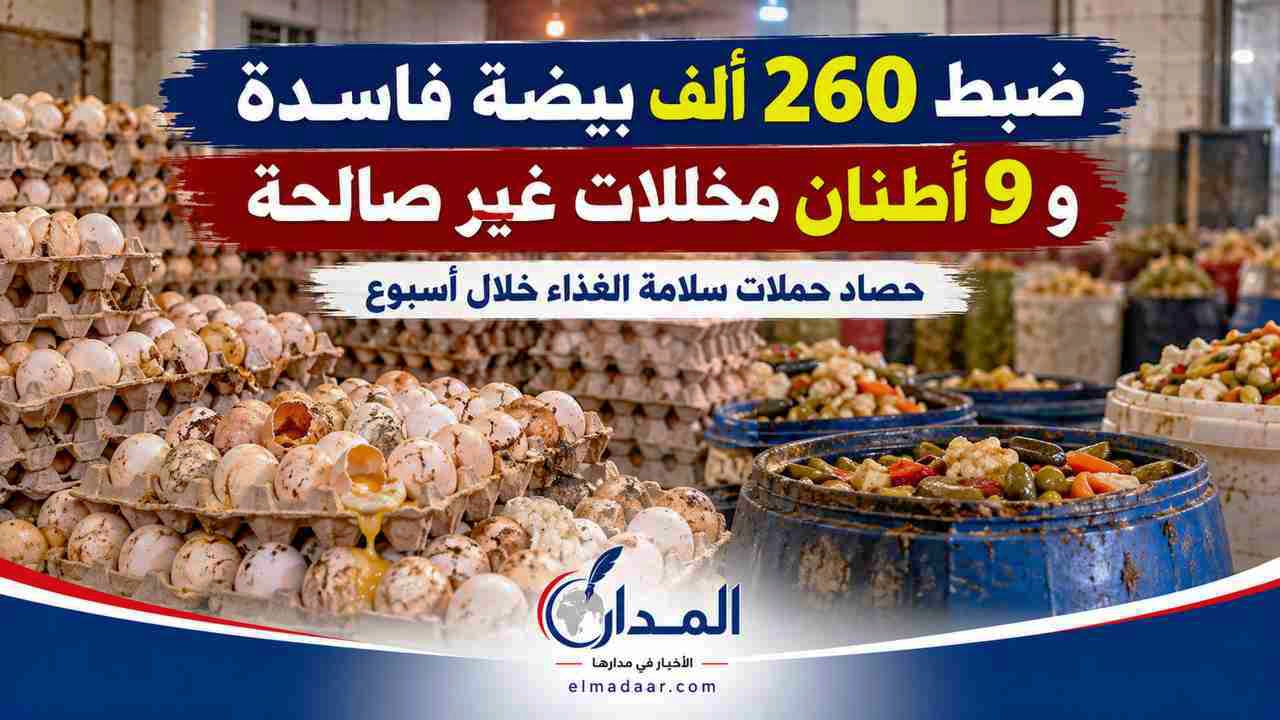 ضبط 260 ألف بيضة فاسدة و9 أطنان مخللات غير صالحة.. حصاد حملات سلامة الغذاء خلال أسبوع