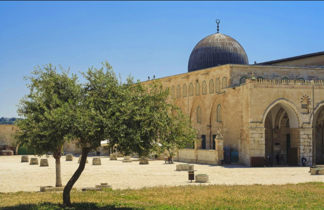 مصر تدين اقتحام مستوطنين إسرائيليين للمسجد الأقصى وتحذر من تغيير الوضع القائم