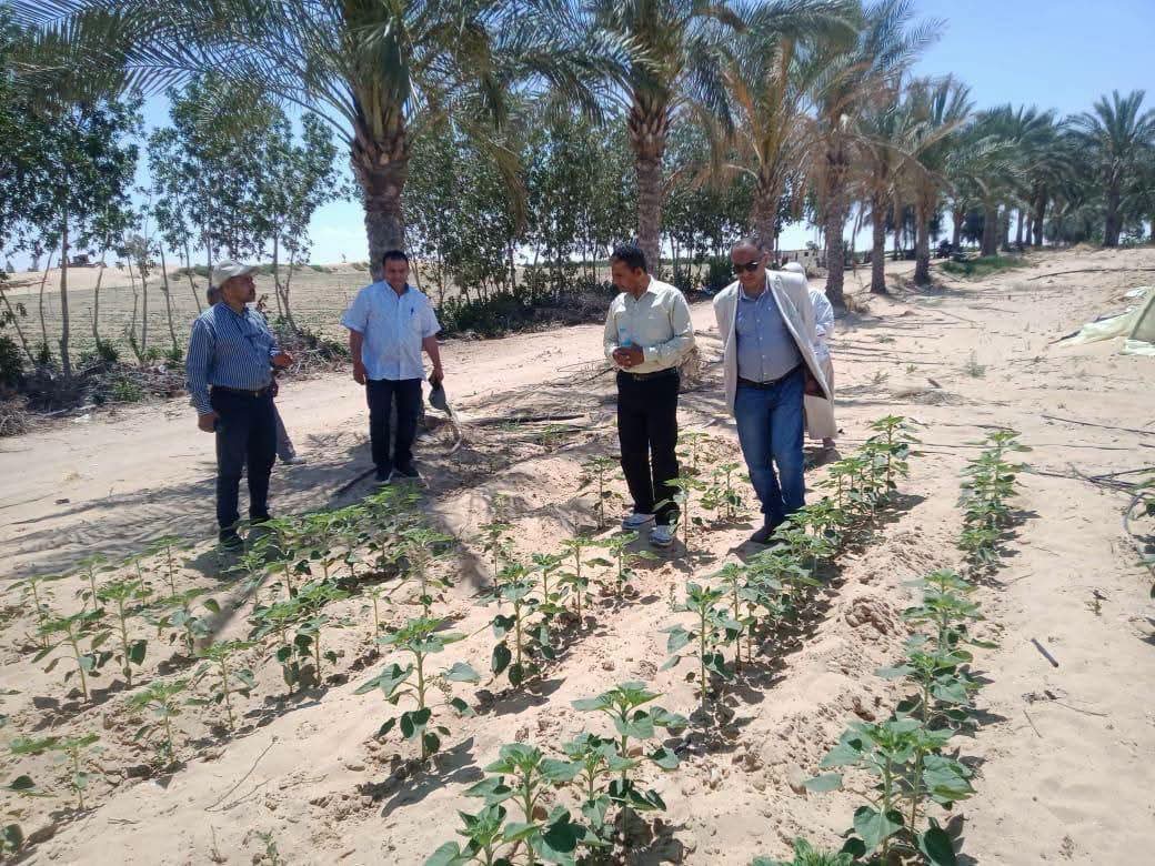 الزراعة تستعرض جهود «بحوث الصحراء» لدعم التنمية الزراعية في سيناء خلال عام