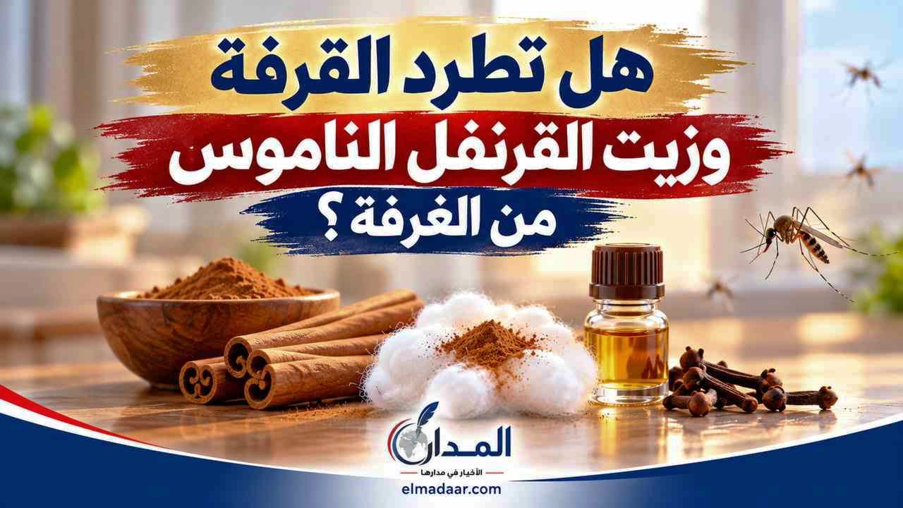 هل تطرد القرفة وزيت القرنفل الناموس من الغرفة؟ حقيقة وصفة متداولة على فيسبوك