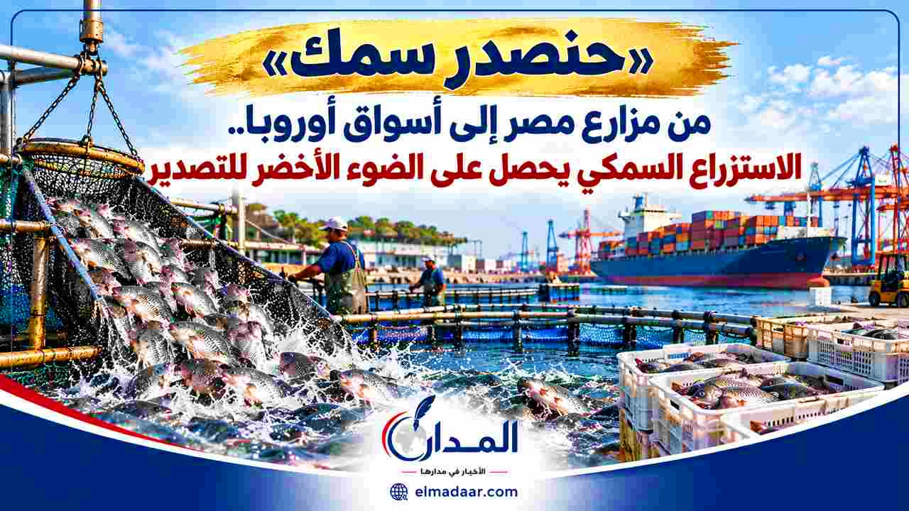 من مزارع مصر إلى أسواق أوروبا.. الاستزراع السمكي يحصل على الضوء الأخضر للتصدير