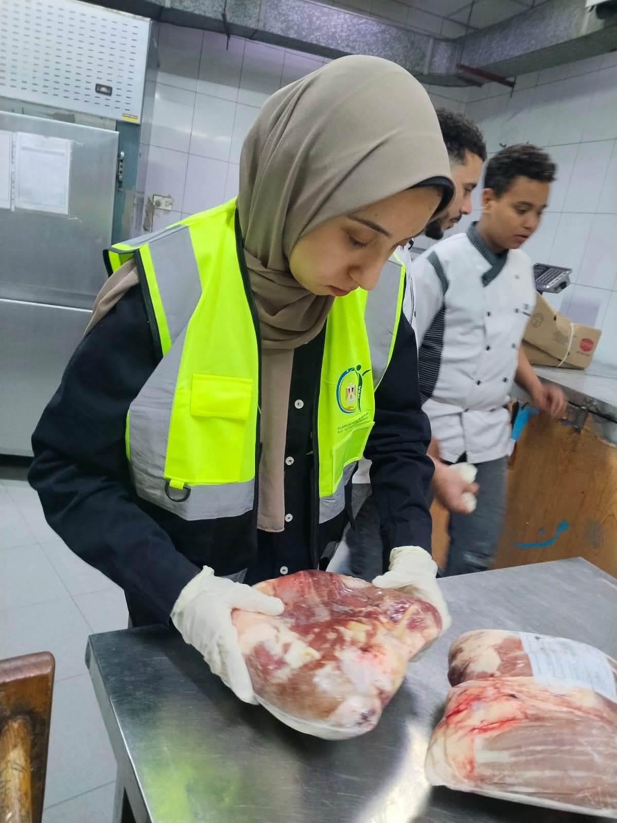 «حشرة» داخل وجبة مريض.. سلامة الغذاء تتحرك وتكشف نتائج المعاينة الأولية بمستشفى الهلال