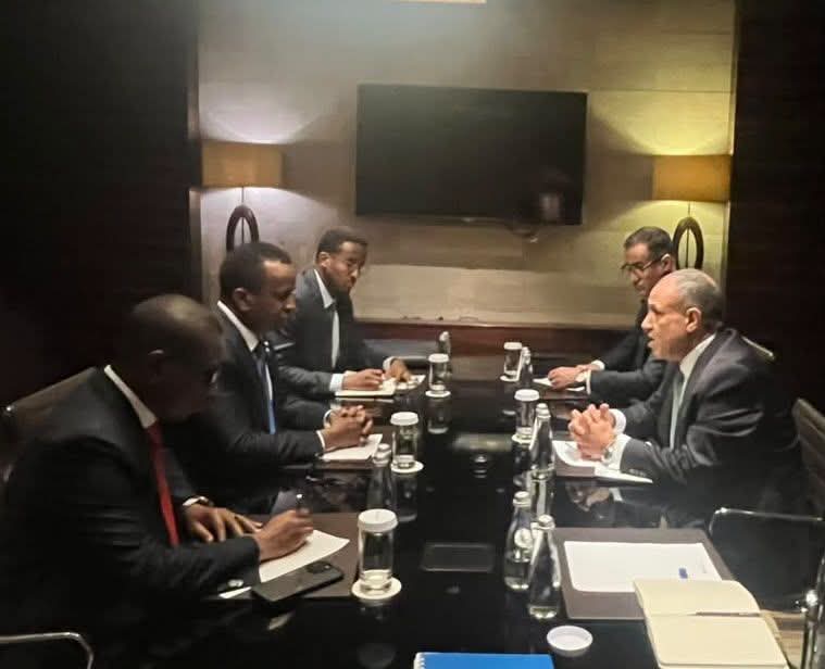 مصر تجدد دعمها لوحدة وسيادة الصومال وترفض الإجراءات الأحادية